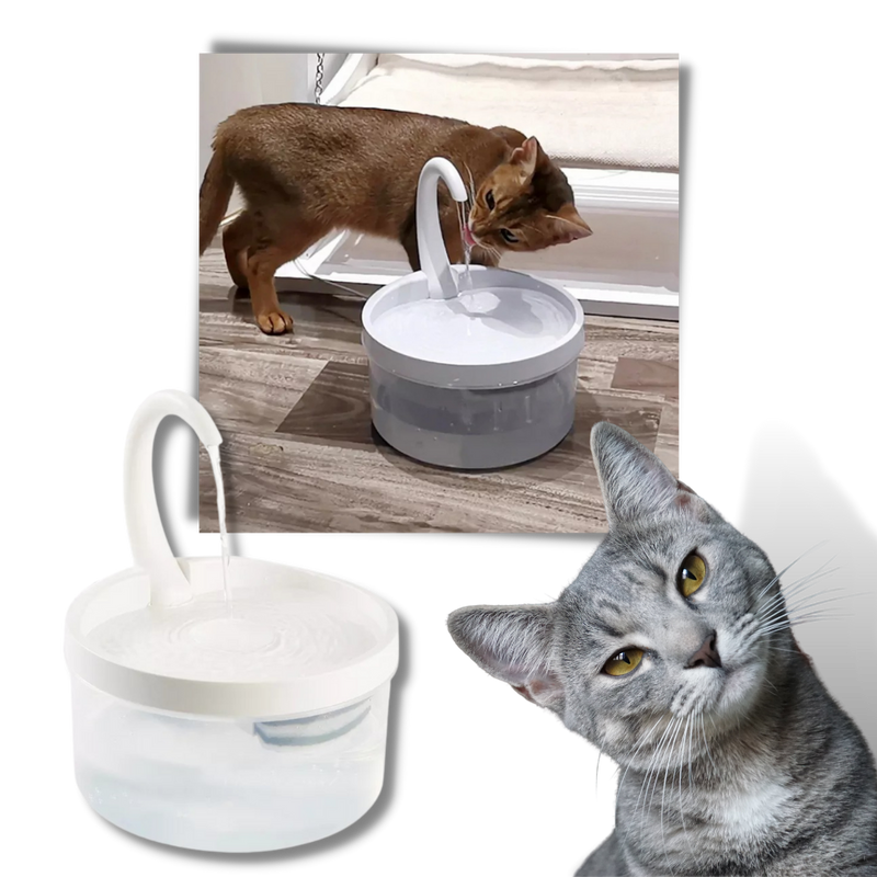 Automatischer Wasserbrunnen für Katzen mit LED-Licht