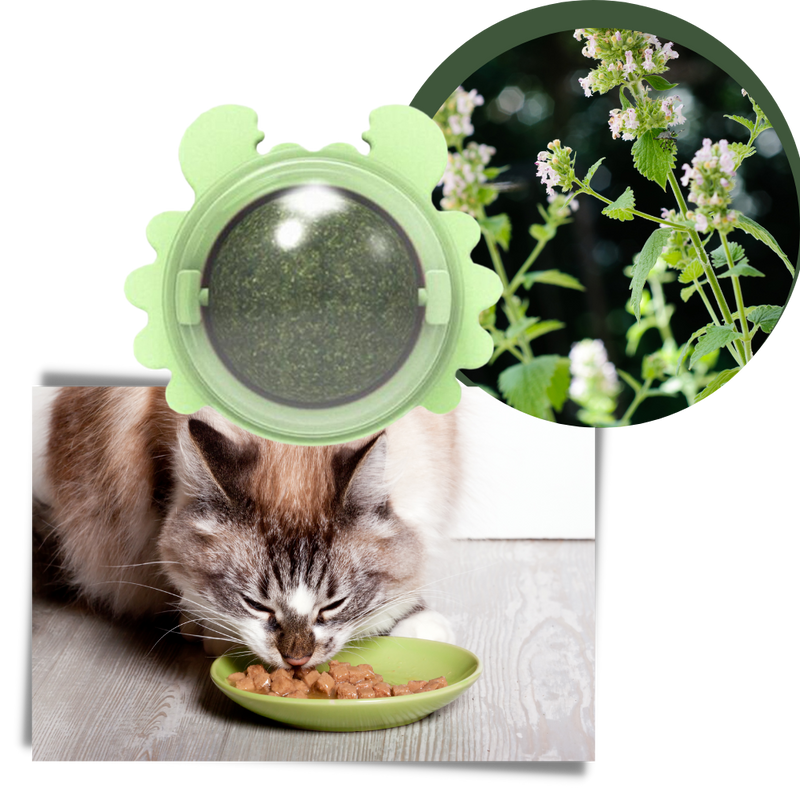 Drehbares Katzenspielzeug Mint Ball