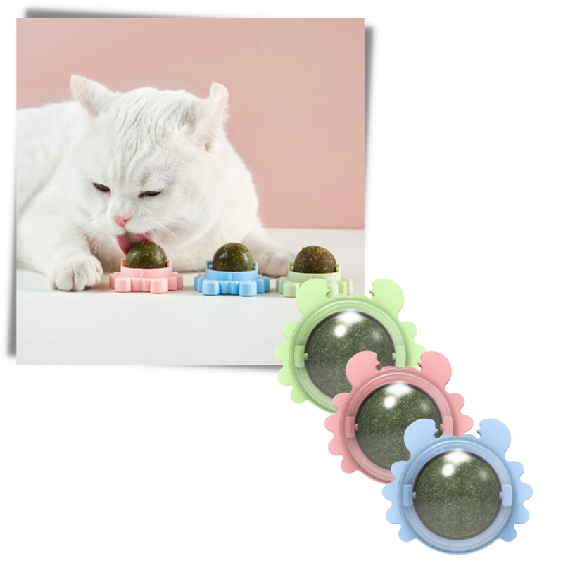 Drehbares Katzenspielzeug Mint Ball