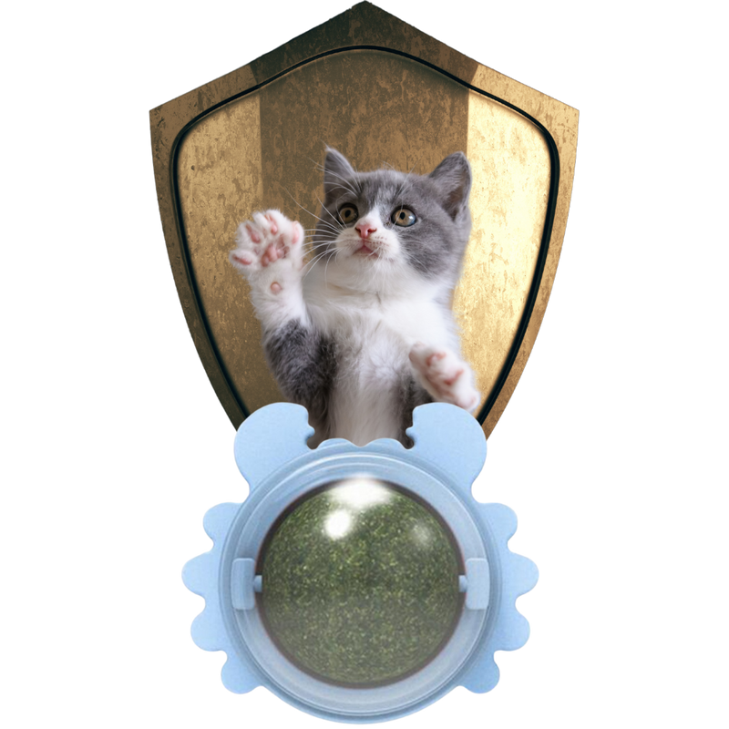 Drehbares Katzenspielzeug Mint Ball