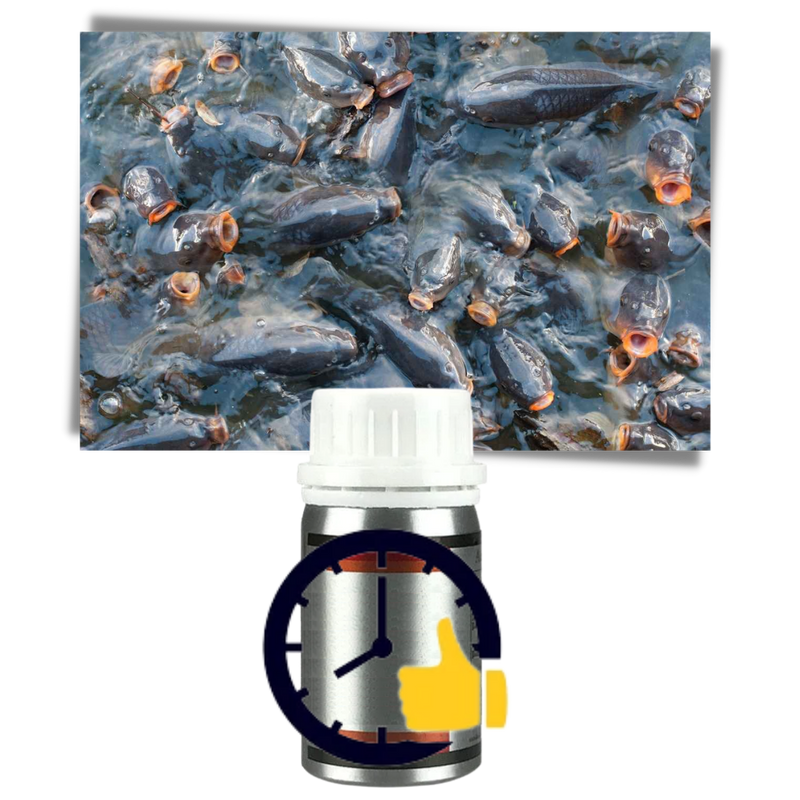 Lockender Fischköder