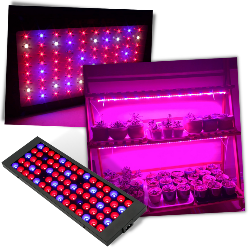Vollspektrum hängende LED Wachstumslampe