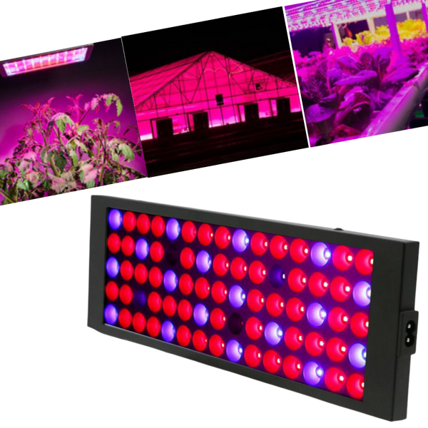 Vollspektrum hängende LED Wachstumslampe