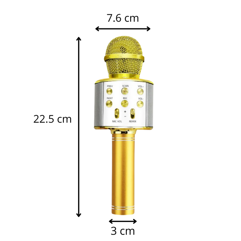 Kabelloses Bluetooth Karaoke-Mikrofon