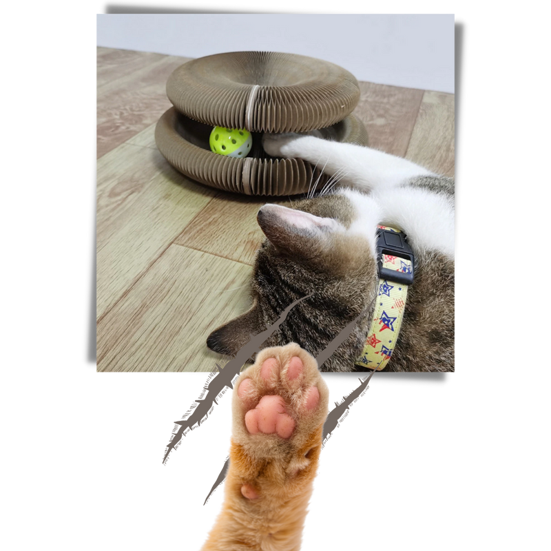 Kratzbrett für Katzen