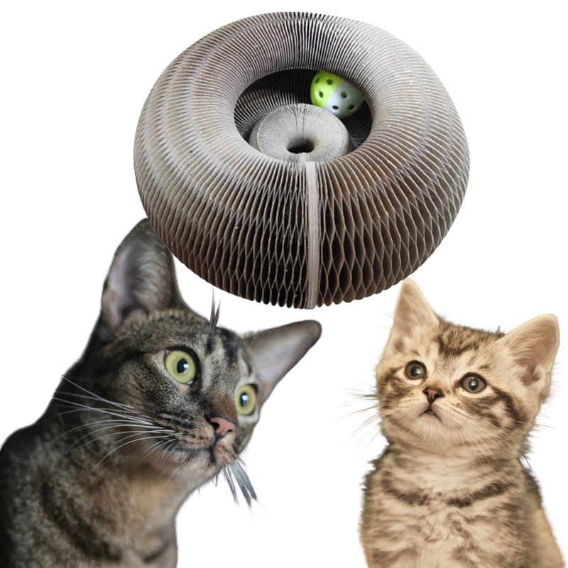 Kratzbrett für Katzen