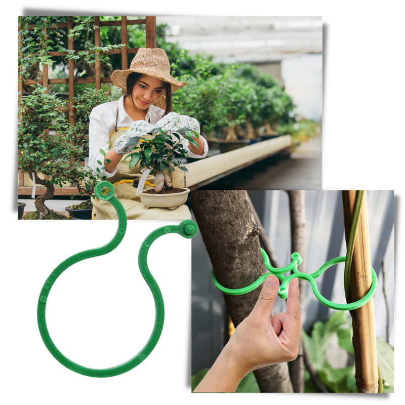 Packung mit Gartenpflanzenhalter-Clips