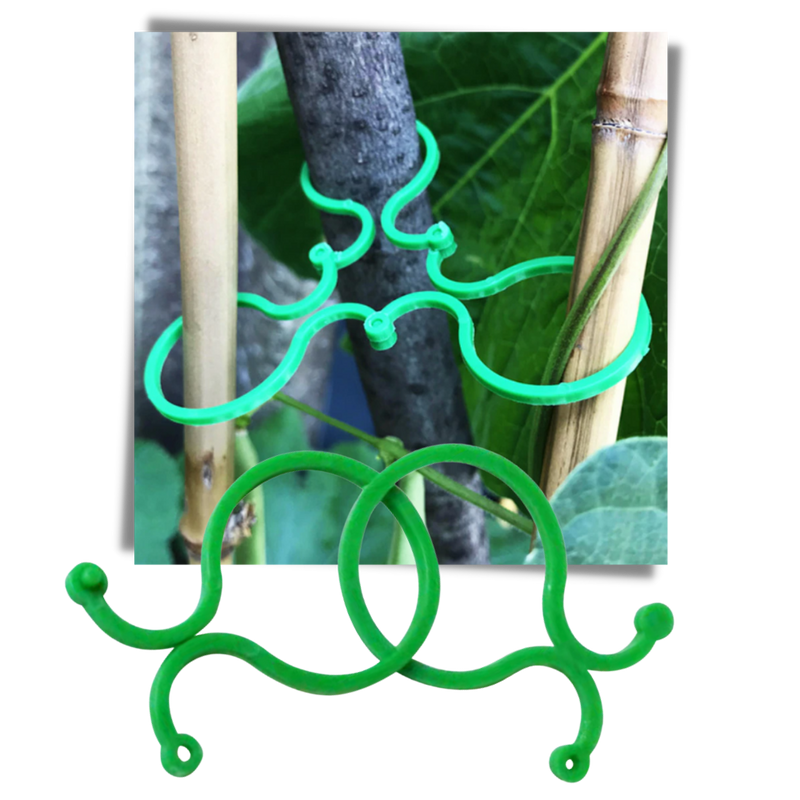 Packung mit Gartenpflanzenhalter-Clips