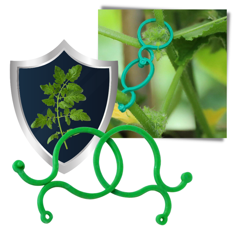 Packung mit Gartenpflanzenhalter-Clips