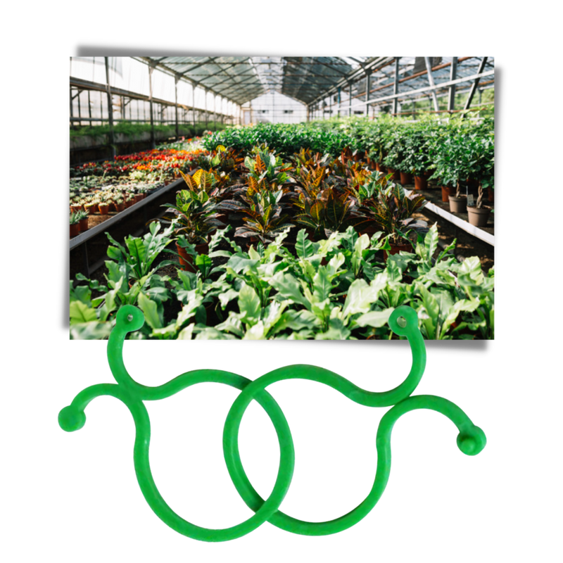 Packung mit Gartenpflanzenhalter-Clips