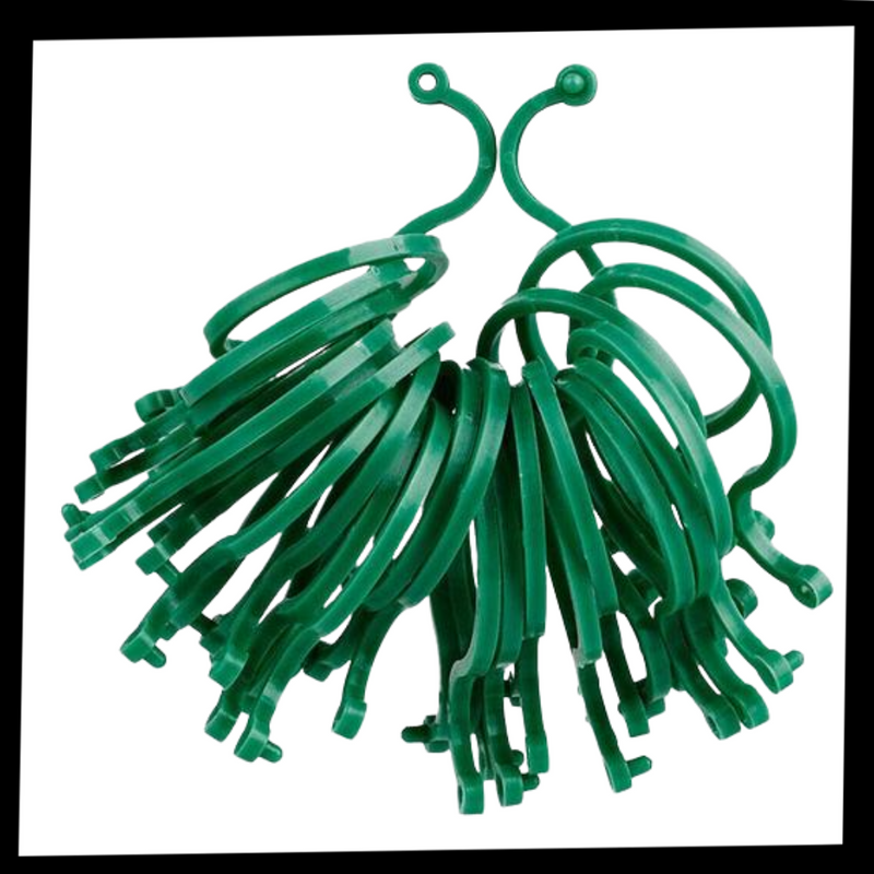 Packung mit Gartenpflanzenhalter-Clips