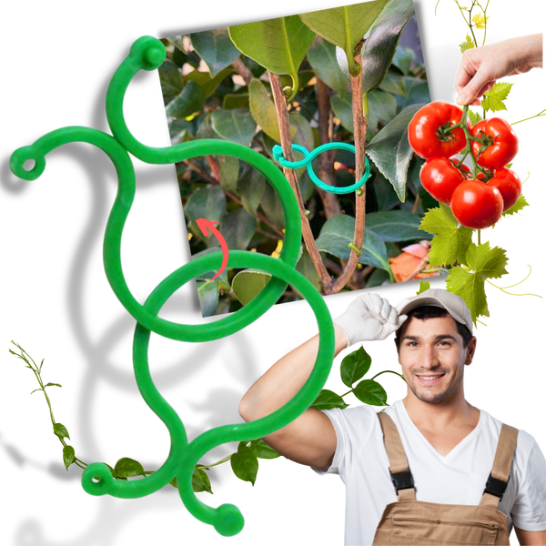 Packung mit Gartenpflanzenhalter-Clips