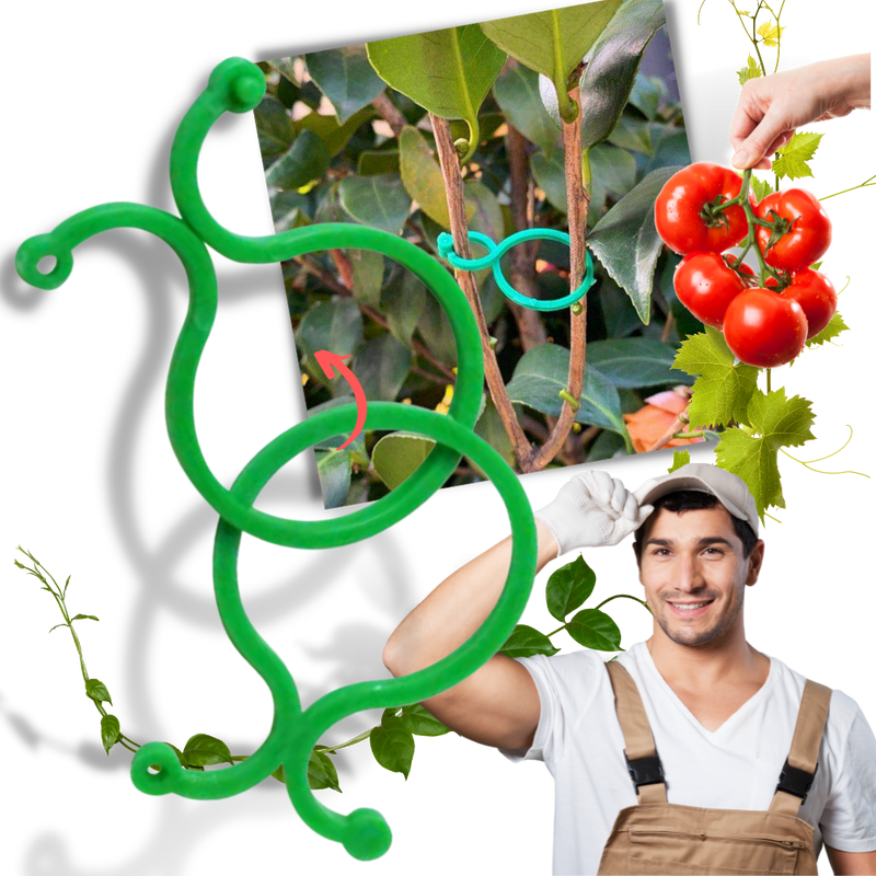 Packung mit Gartenpflanzenhalter-Clips