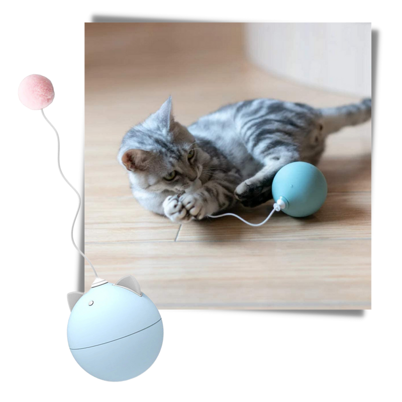 Katzenspielball mit Auto-Roll-Funktion