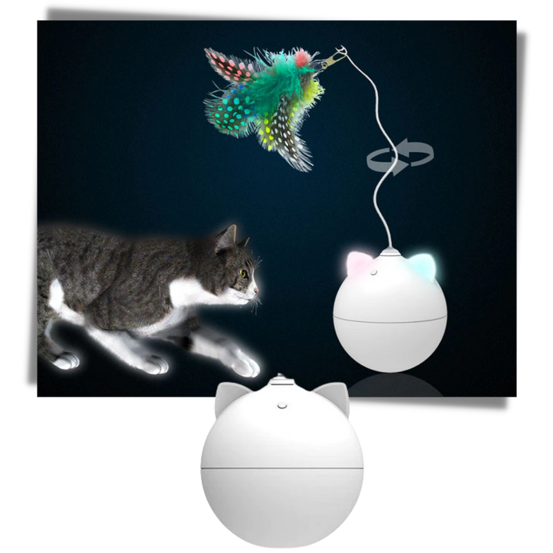 Katzenspielball mit Auto-Roll-Funktion