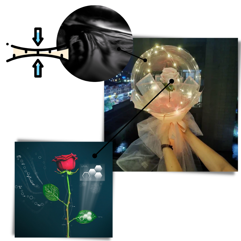 Wunderschöne Rosen LED Ballon