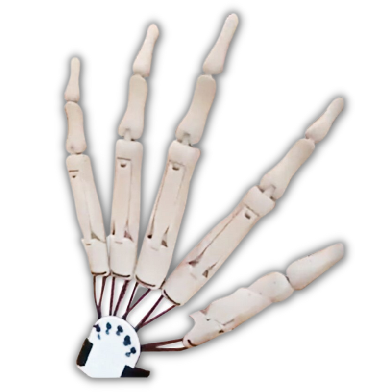 Fake Skelett Hände Handschuh