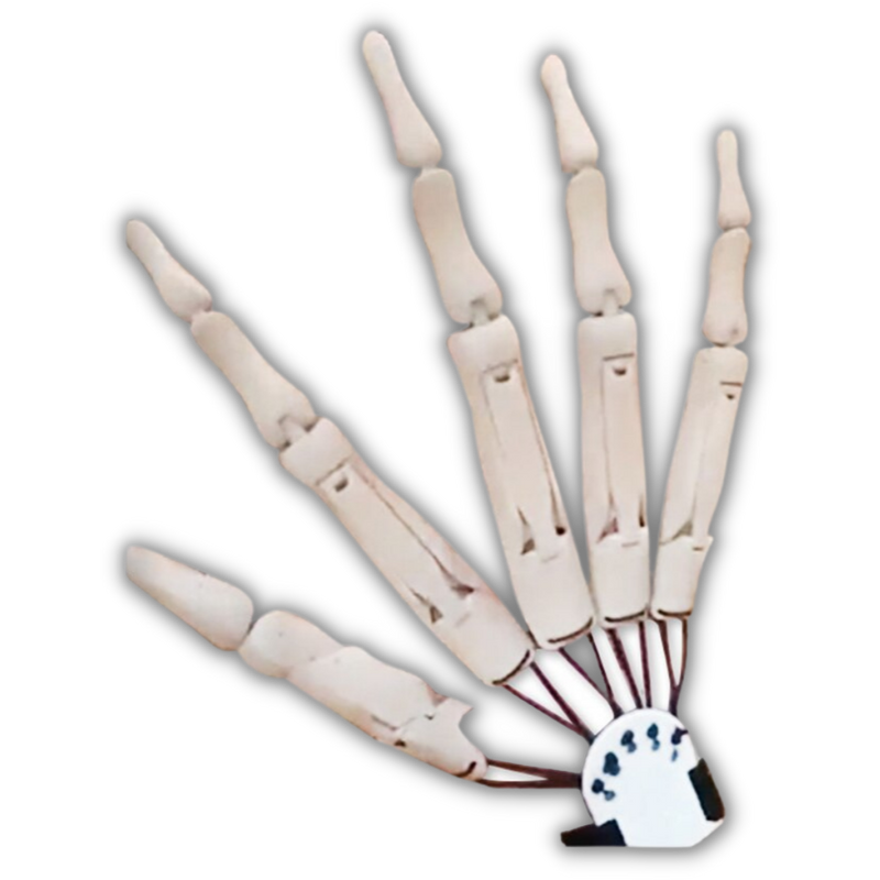 Fake Skelett Hände Handschuh