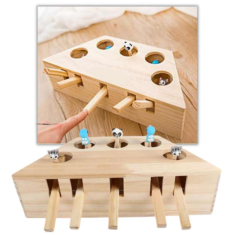 Interaktives Katzenspielzeug mit 5 Löchern aus Holz