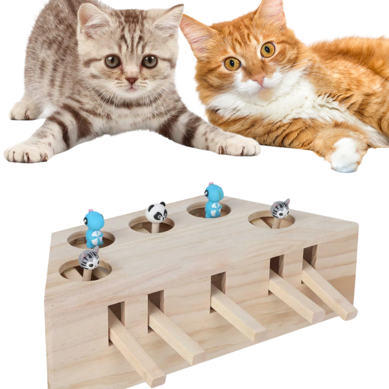 Interaktives Katzenspielzeug mit 5 Löchern aus Holz