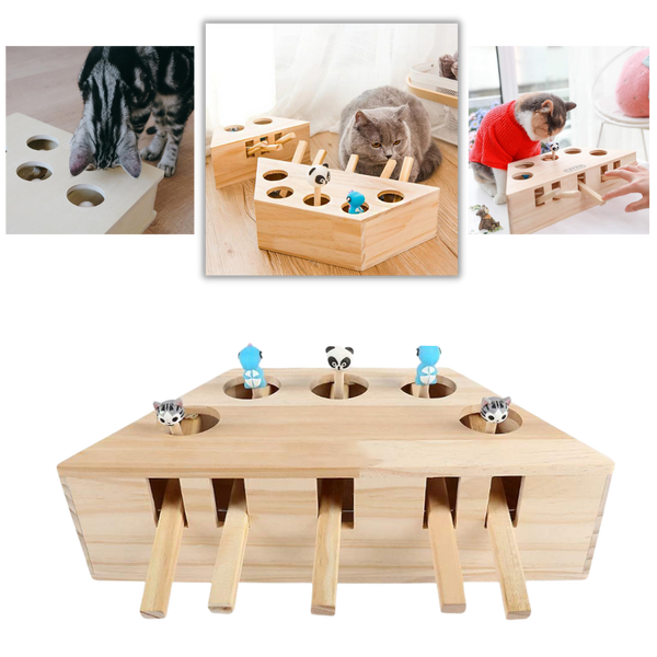 Interaktives Katzenspielzeug mit 5 Löchern aus Holz