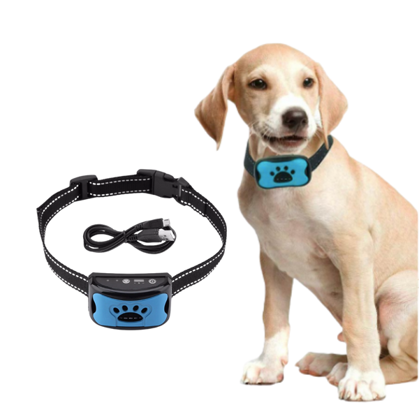 Anti-Bell-Hundehalsband