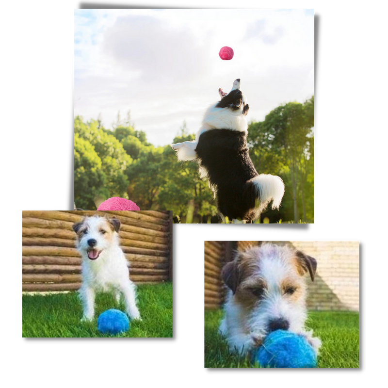 Automatisch beweglicher Rollball für Hunde mit auswechselbaren Bezügen