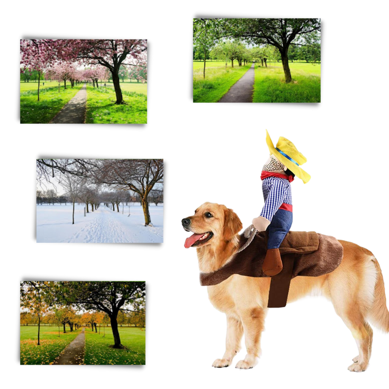 Cowboy Hundekostüm