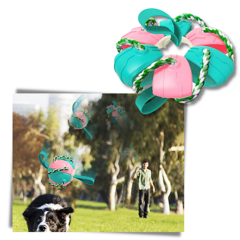 Frisbee-Ball Hundespielzeug