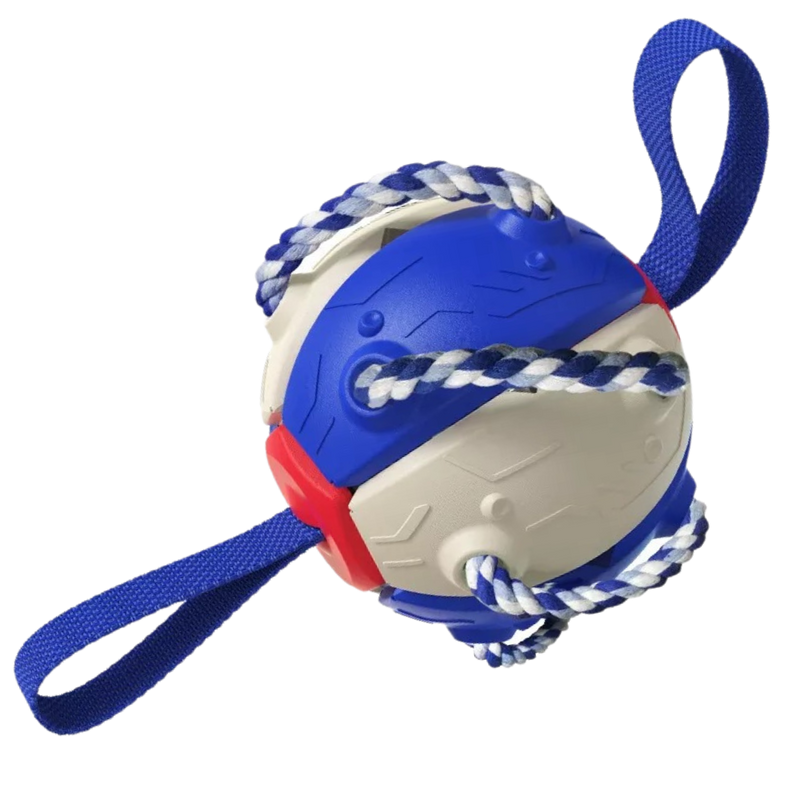 Frisbee-Ball Hundespielzeug