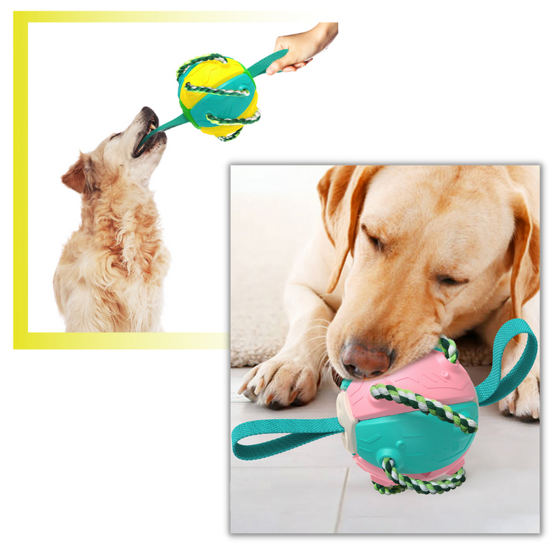 Frisbee-Ball Hundespielzeug