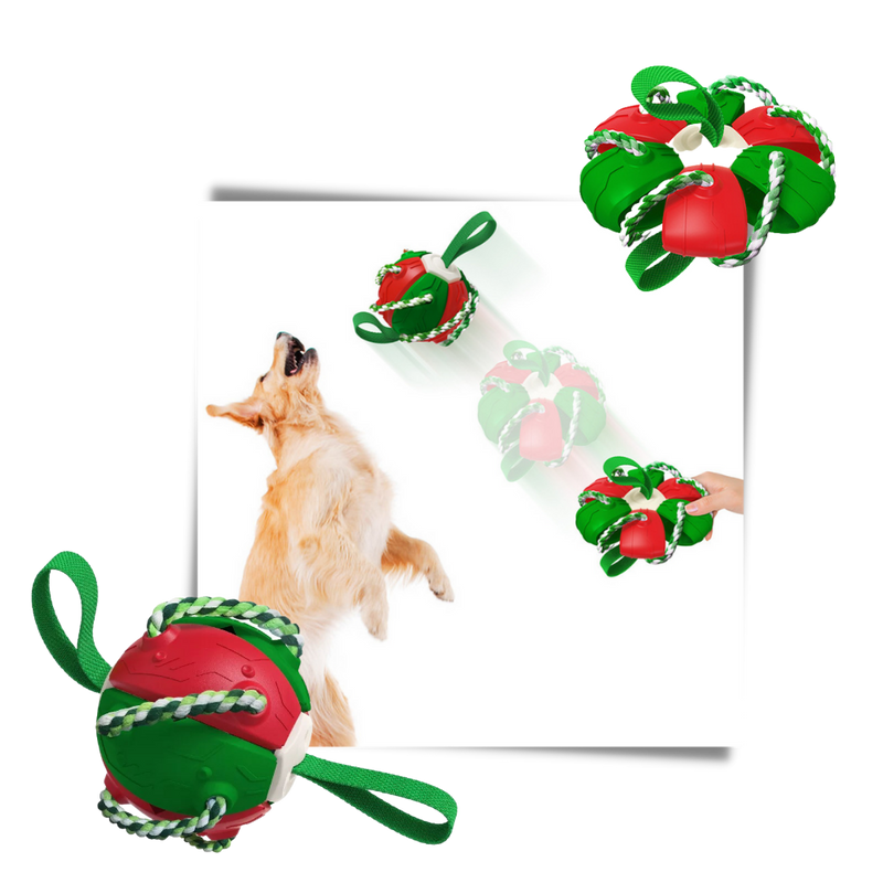 Frisbee-Ball Hundespielzeug