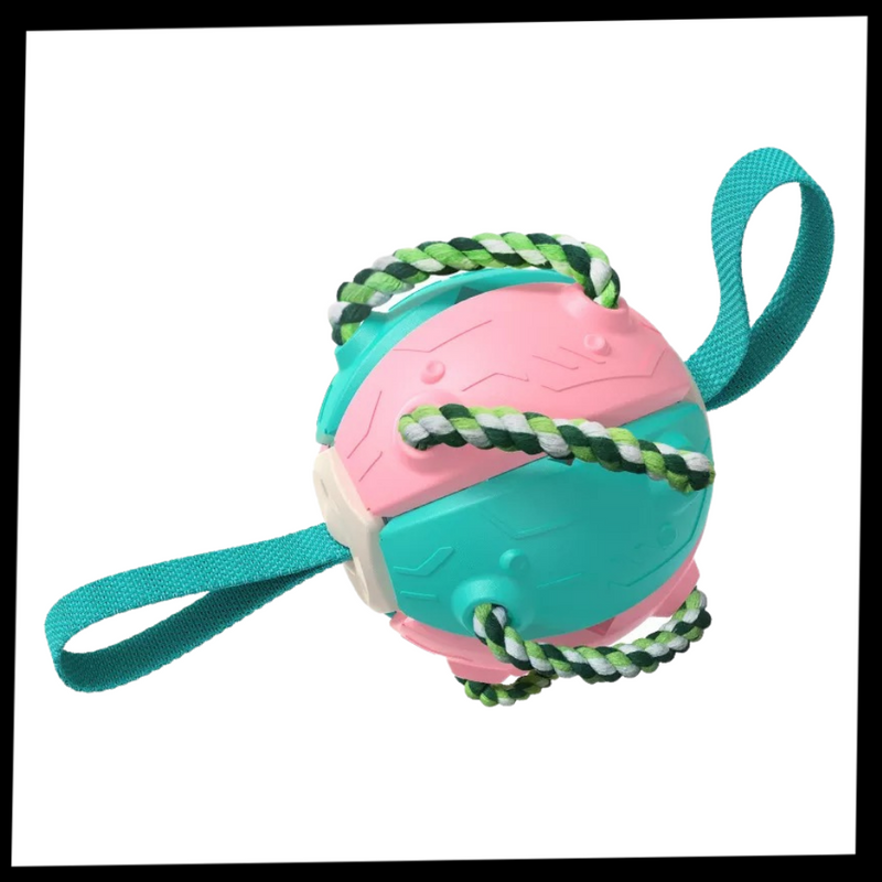 Frisbee-Ball Hundespielzeug
