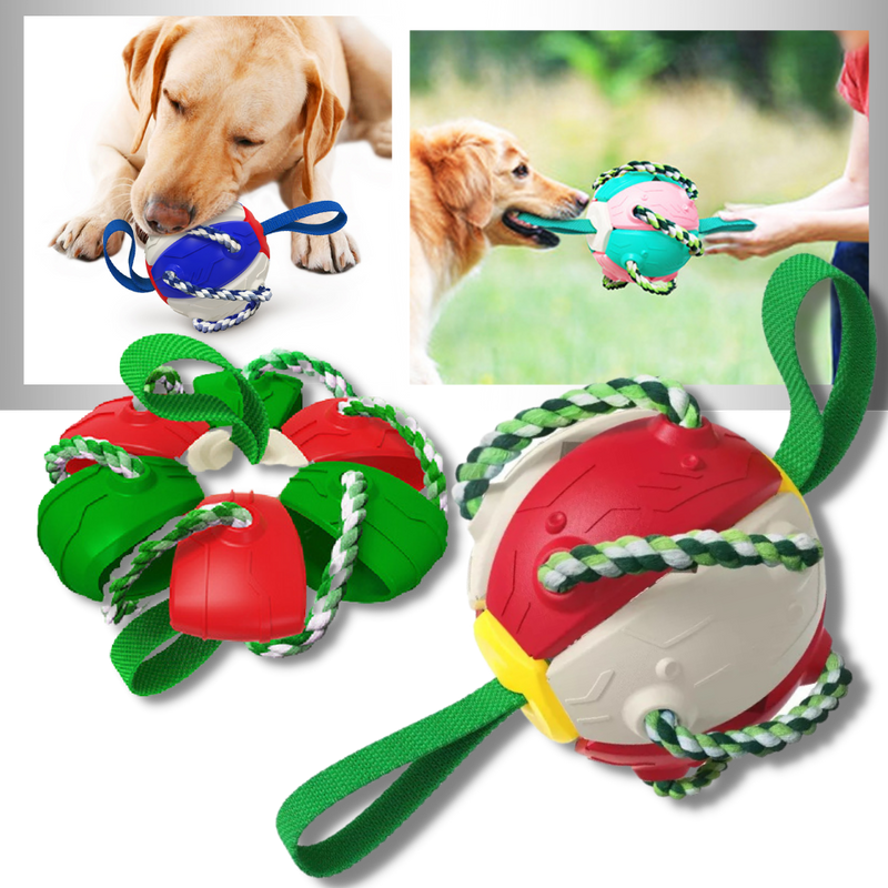Frisbee-Ball Hundespielzeug