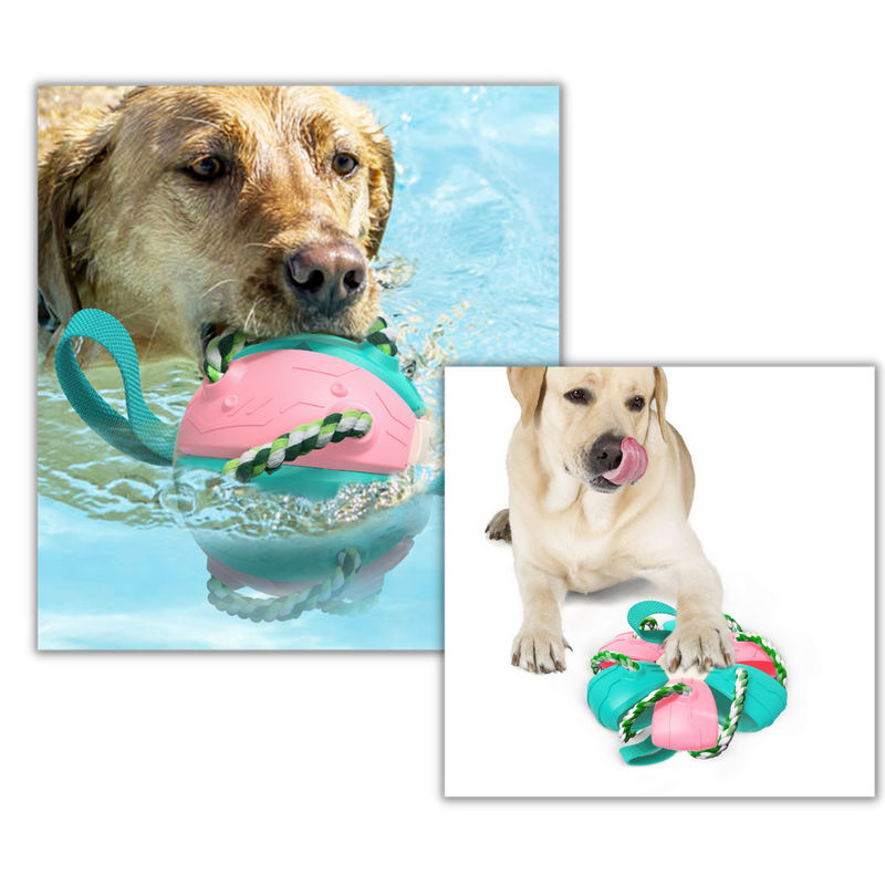 Frisbee-Ball Hundespielzeug