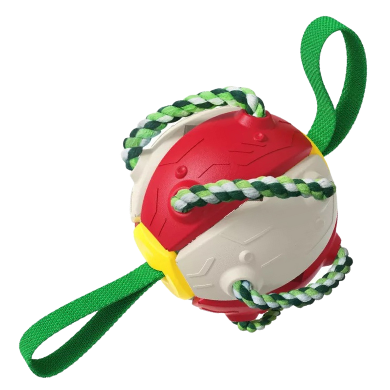Frisbee-Ball Hundespielzeug