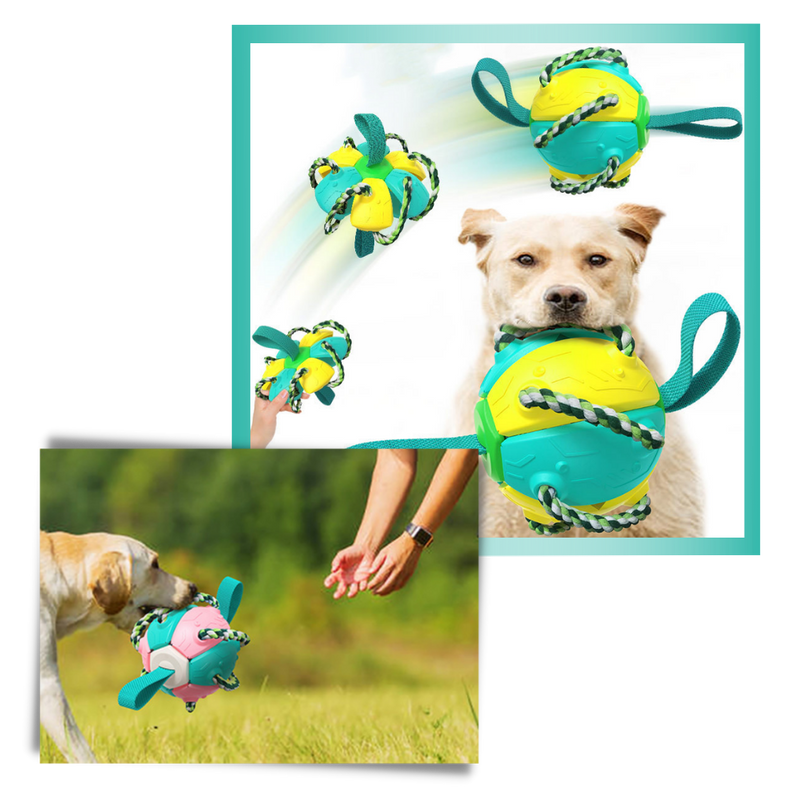 Frisbee-Ball Hundespielzeug