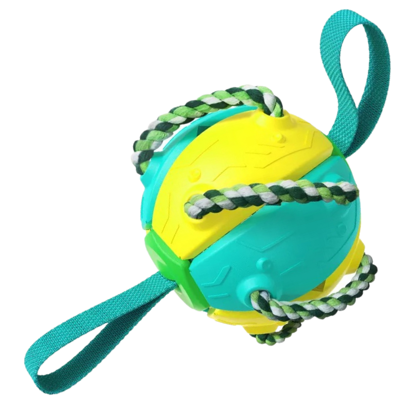Frisbee-Ball Hundespielzeug