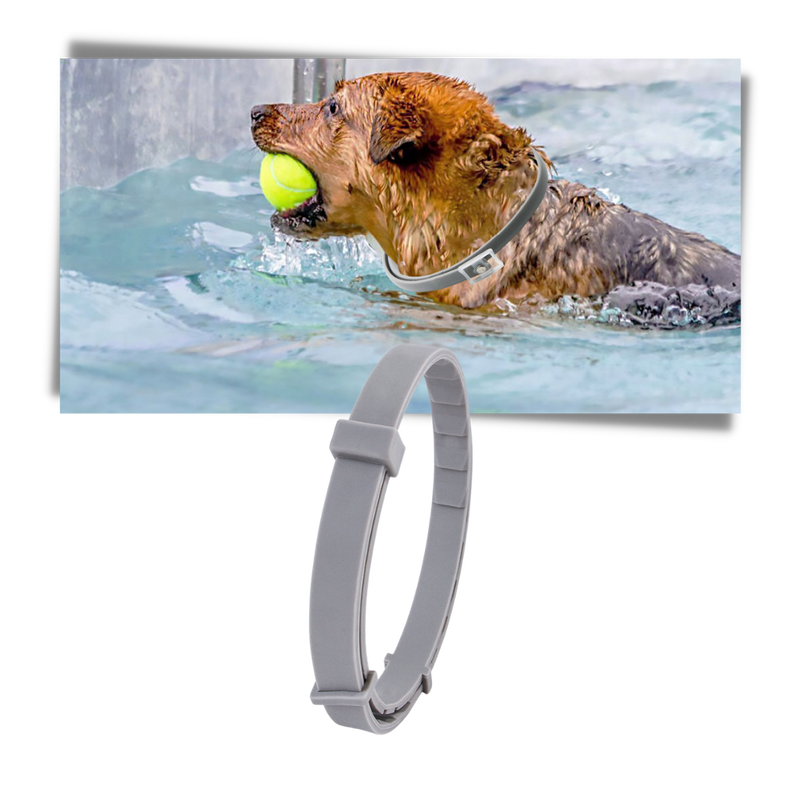 Flohhalsband für Haustiere