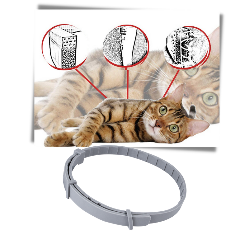 Flohhalsband für Haustiere