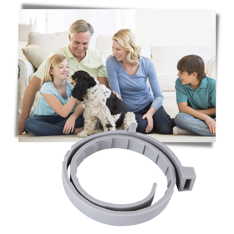 Flohhalsband für Haustiere