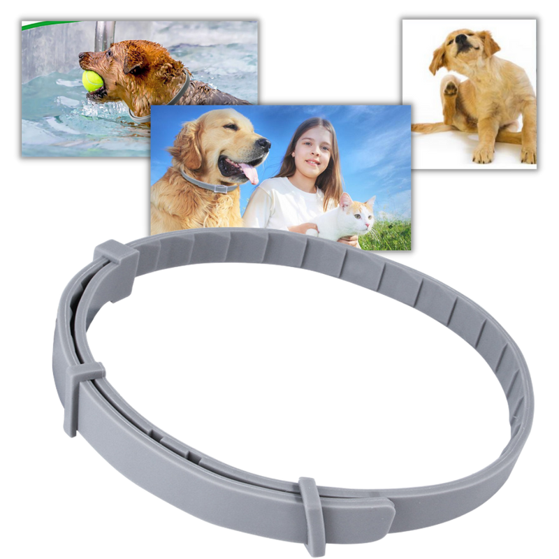Flohhalsband für Haustiere