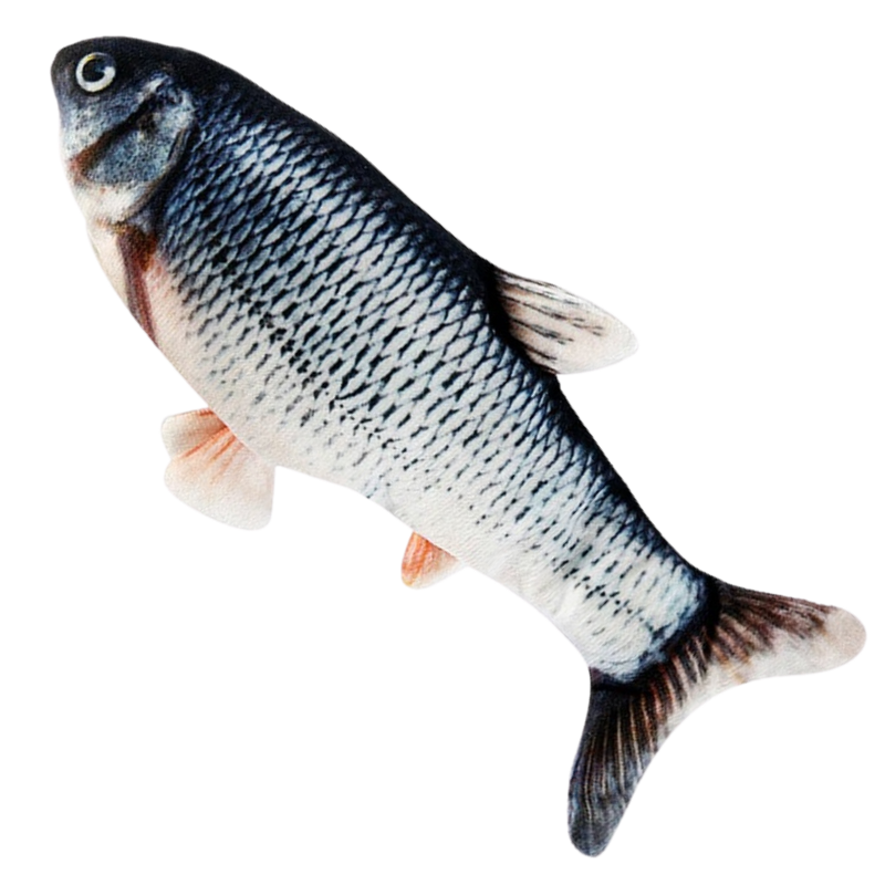 Floppender Fisch Katzenspielzeug