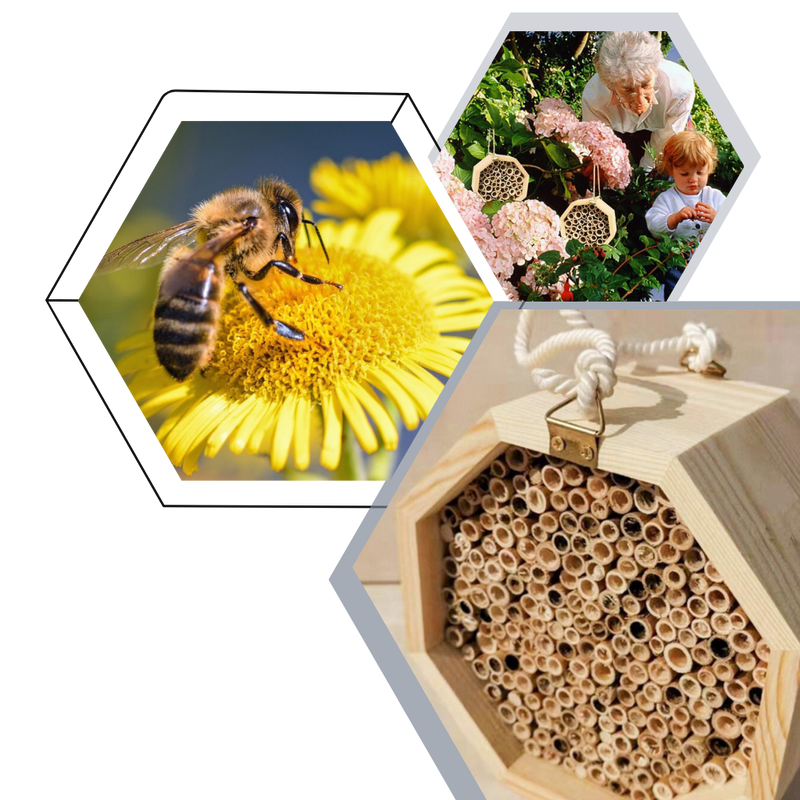 Sechseckiges Holz-Bienenhaus