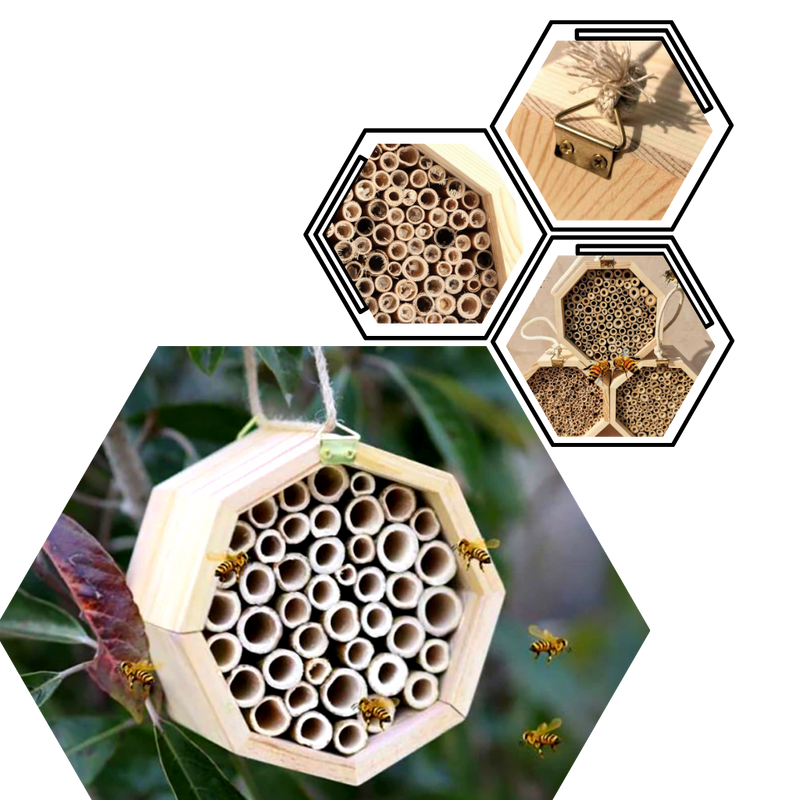 Sechseckiges Holz-Bienenhaus