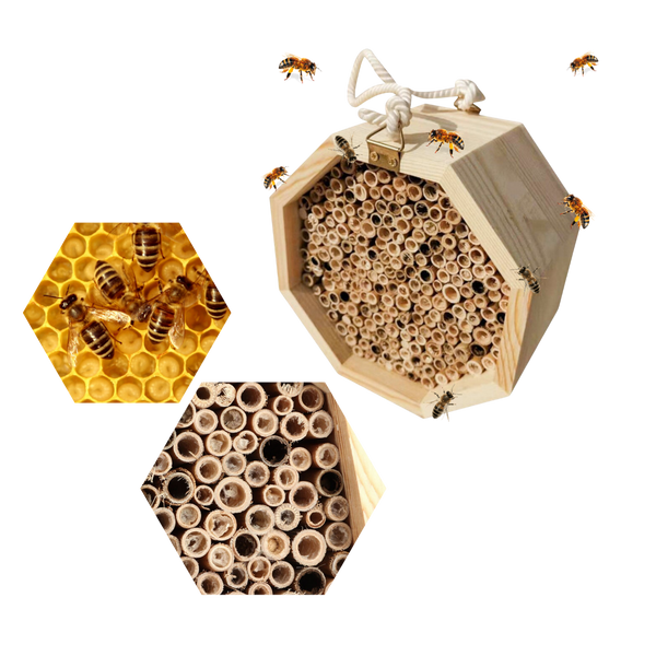 Sechseckiges Holz-Bienenhaus