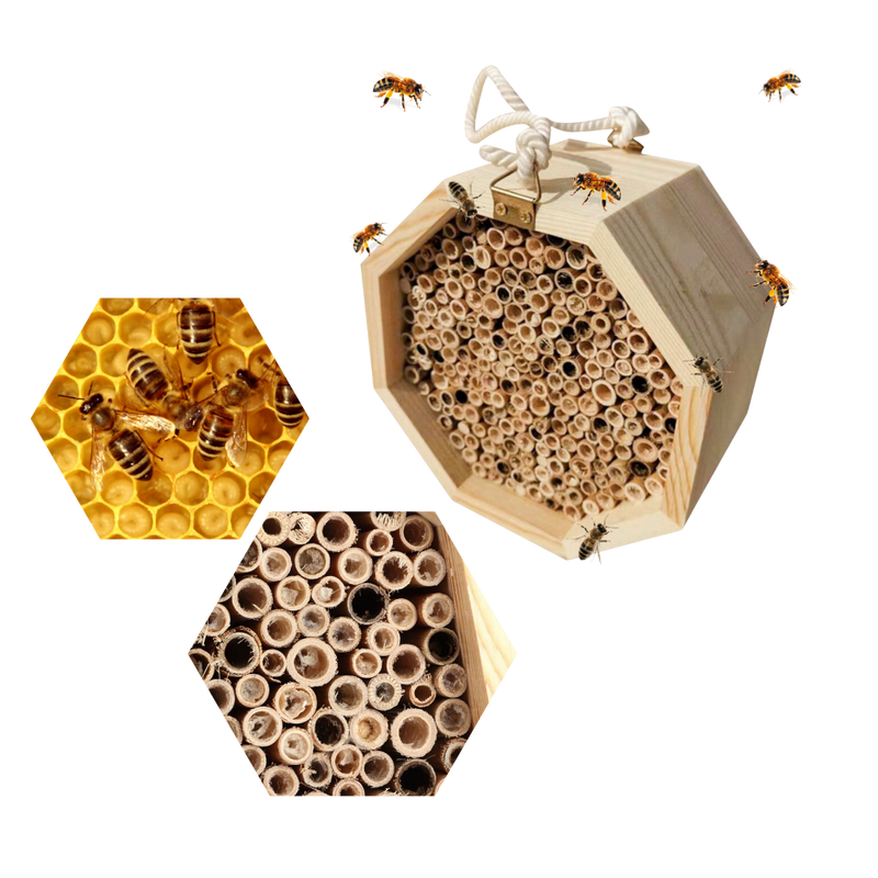 Sechseckiges Holz-Bienenhaus