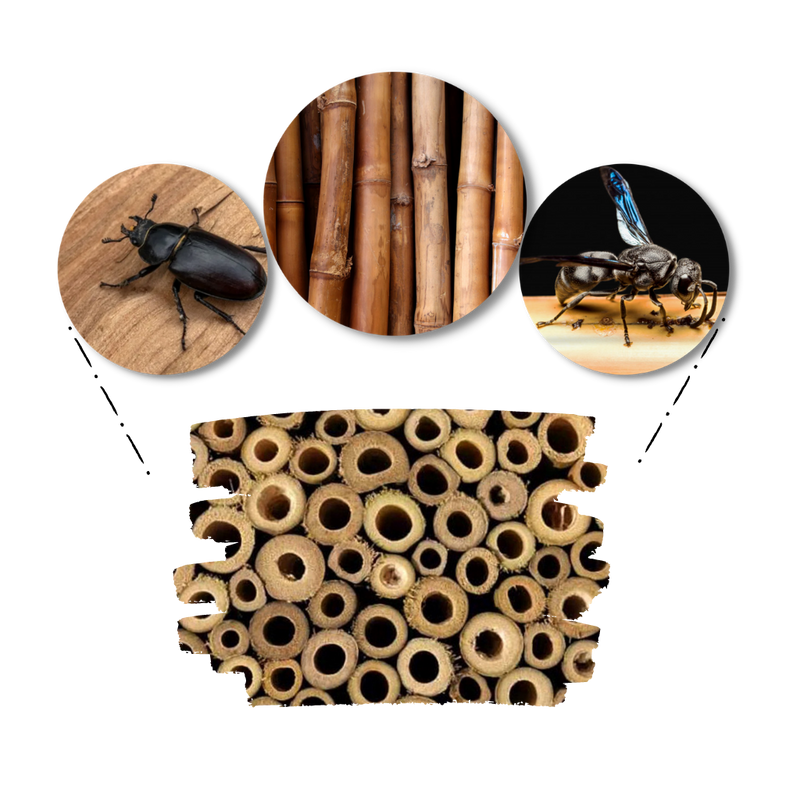 Sechseckiges Holz-Bienenhaus