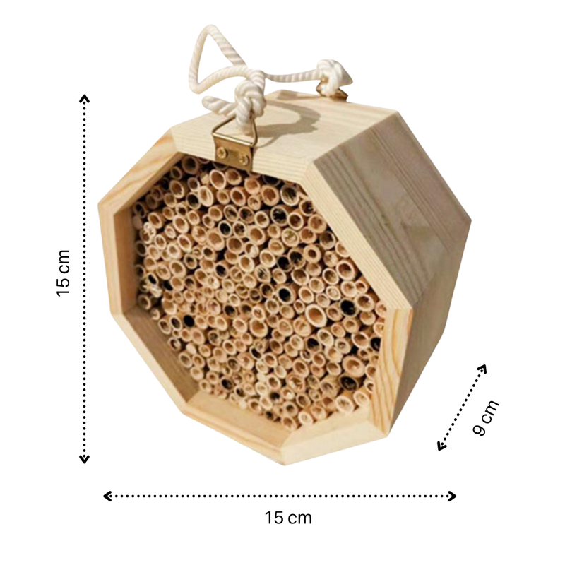 Sechseckiges Holz-Bienenhaus