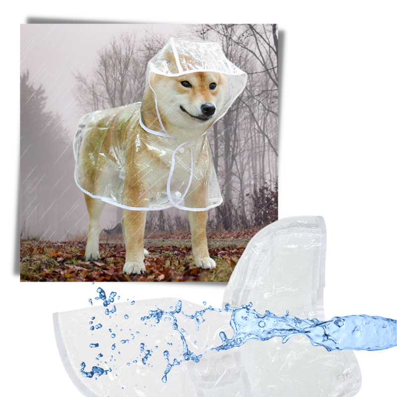 Kapuzenregenmantel für Hunde
